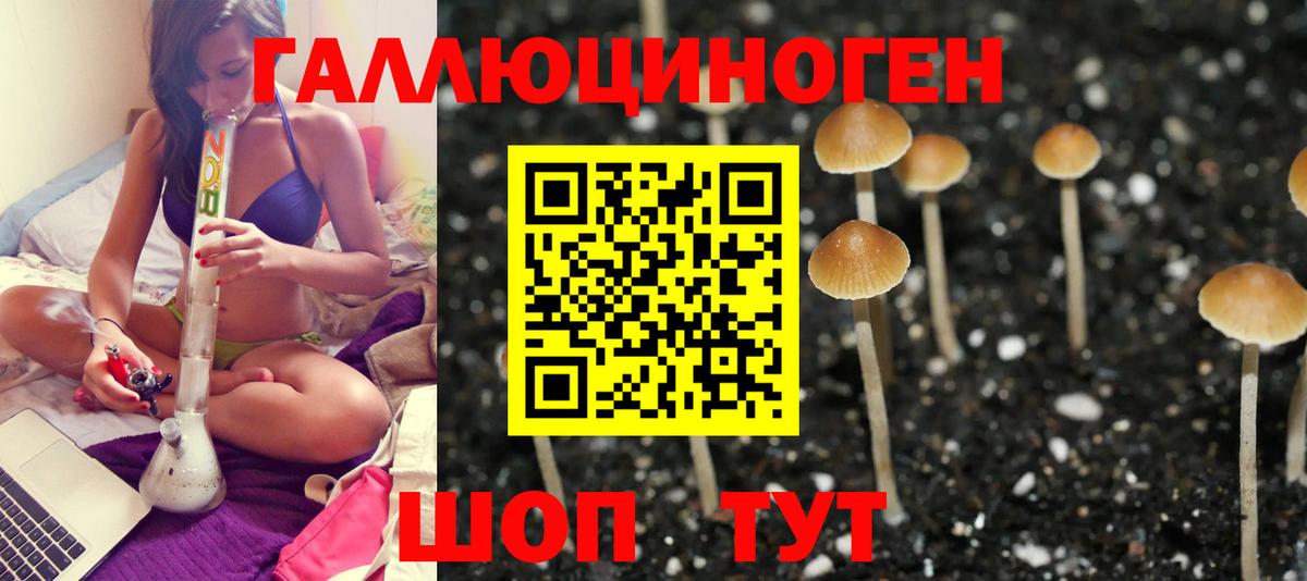 Галлюциногенные грибы Magic Shrooms Лыткарино